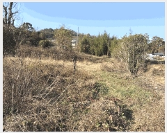  2025Ÿ��31352 �泲 ���ֽ� ���� ��� 296      ����(��1)���