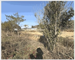  2025Ÿ��31352 �泲 ���ֽ� ���� ��� 296      ����(��1)���