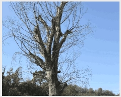  2025Ÿ��31352 �泲 ���ֽ� ���� ��� 296      ����(��1)���