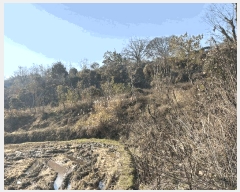  2025Ÿ��31352 �泲 ���ֽ� ���� ��� 296      ����(��1)���