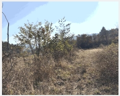  2025Ÿ��31352 �泲 ���ֽ� ���� ��� 296      ����(��1)���