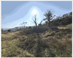  2025Ÿ��31352 �泲 ���ֽ� ���� ��� 296      ����(��1)���