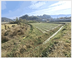  2025Ÿ��31378 �泲 ���ر� �ﵿ�� ������ 2340-1      ����(��1)���