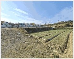  2025Ÿ��31378 �泲 ���ر� �ﵿ�� ������ 2340-1      ����(��1)���