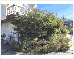  2025Ÿ��31395 �泲 ���ر� ������ ������ 525-1      ���ð��