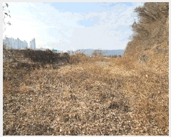  2025Ÿ��31450 �泲 ���ֽ� ������ ���︮ 25      ����(��1)���