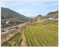  2025Ÿ��31457 �泲 �ϵ��� ȭ���� ���ݸ� 1231      ����(��)���