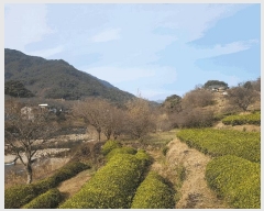  2025Ÿ��31457 �泲 �ϵ��� ȭ���� ���ݸ� 1231      ����(��)���