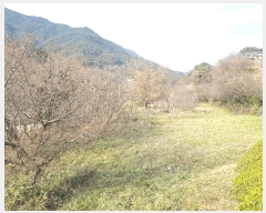  2025Ÿ��31457 �泲 �ϵ��� ȭ���� ���ݸ� 1231      ����(��)���