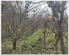  2025Ÿ��31457 �泲 �ϵ��� ȭ���� ���ݸ� 1231      ����(��)���