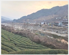  2025Ÿ��31457 �泲 �ϵ��� ȭ���� ���ݸ� 1231      ����(��)���