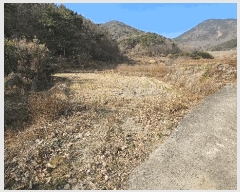  2025Ÿ��31493 �泲 ���ر� ��õ�� ���� 1565      ����(��)���