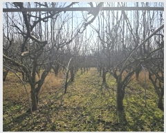  2025Ÿ��159 �泲 ��õ�� ��õ�� �η��� 1486      ����(��)���