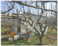  2025Ÿ��159 �泲 ��õ�� ��õ�� �η��� 1486      ����(��)���