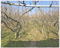  2025Ÿ��159 �泲 ��õ�� ��õ�� �η��� 1486      ����(��)���