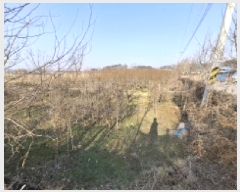  2025Ÿ��159 �泲 ��õ�� ��õ�� �η��� 1486      ����(��)���