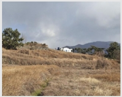  2025Ÿ��319 �泲 ���ر� �̵��� ��Ҹ� 1281-32      ����(��1)���