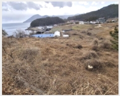  2025Ÿ��319 �泲 ���ر� �̵��� ��Ҹ� 1281-32      ����(��1)���