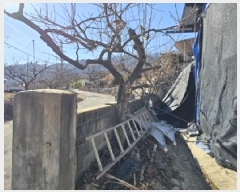  2025Ÿ��357  ���ð��