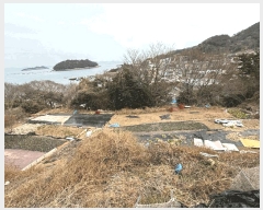  2025Ÿ��513 �泲 ���ر� ������ ������ 27-6      ����(��1)���