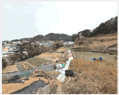  2025Ÿ��513 �泲 ���ر� ������ ������ 107      ����(��1)���