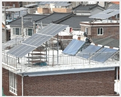  2025Ÿ��513 �泲 ���ر� ������ ������ 107      ����(��1)���