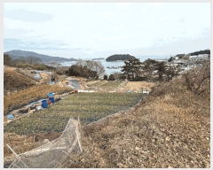  2025Ÿ��513 �泲 ���ر� ������ ������ 107      ����(��1)���