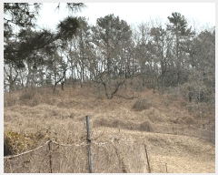  2025Ÿ��513 �泲 ���ر� ������ ������ 107      ����(��1)���