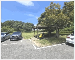  2025Ÿ��520  �Ӿ߰��