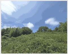  2025Ÿ��520  �Ӿ߰��