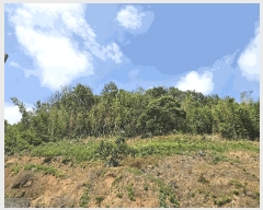  2025Ÿ��520  �Ӿ߰��