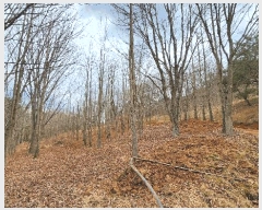  2025Ÿ��552 �泲 ��õ�� ����� ������ ��29-1      ����(�Ӿ�)���