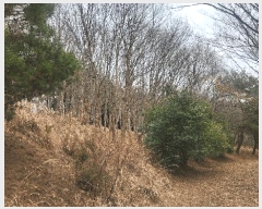  2025Ÿ��552 �泲 ��õ�� ����� ������ ��29-1      ����(�Ӿ�)���