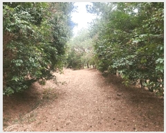  2025Ÿ��552 �泲 ��õ�� ����� ������ ��29-1      ����(�Ӿ�)���