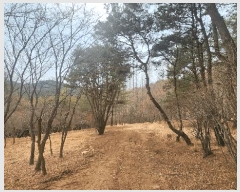  2025Ÿ��552 �泲 ��õ�� ����� ������ ��29-1      ����(�Ӿ�)���