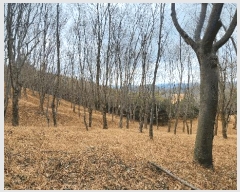  2025Ÿ��552 �泲 ��õ�� ����� ������ ��29-1      ����(�Ӿ�)���