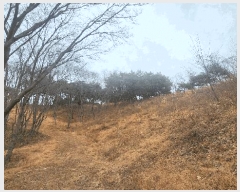  2025Ÿ��552 �泲 ��õ�� ����� ������ ��29-1      ����(�Ӿ�)���