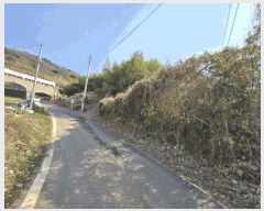  2025Ÿ��562  �����