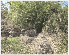  2025Ÿ��562  �����