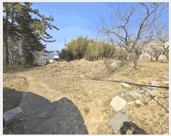  2025Ÿ��562  �����