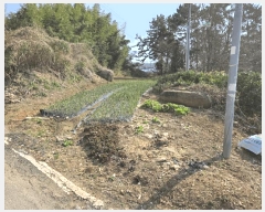  2025Ÿ��562  �����