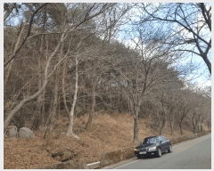  2025Ÿ��567 �泲 ���ر� ���� ������ ��18-1      ����(�Ӿ�)���