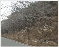  2025Ÿ��567 �泲 ���ر� ���� ������ ��18-1      ����(�Ӿ�)���