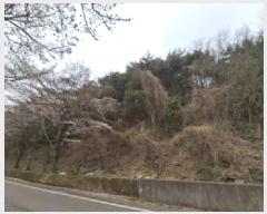  2025Ÿ��567 �泲 ���ر� ���� ������ ��18-1      ����(�Ӿ�)���