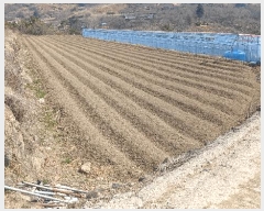  2025Ÿ��572 �泲 �ϵ��� �Ǿ�� ������ 366-5      ����(��)���