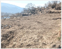  2025Ÿ��572 �泲 �ϵ��� �Ǿ�� ������ 366-5      ����(��)���