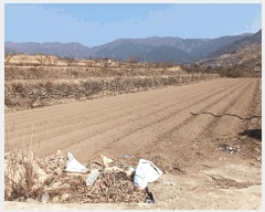  2025Ÿ��572 �泲 �ϵ��� �Ǿ�� ������ 366-5      ����(��)���