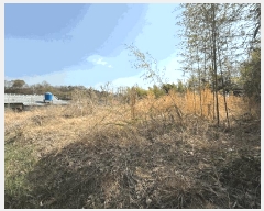  2025Ÿ��587  �������