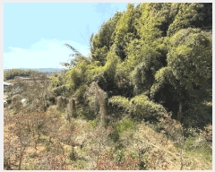  2025Ÿ��587  �������