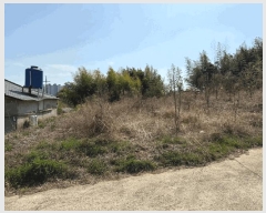  2025Ÿ��587  �������